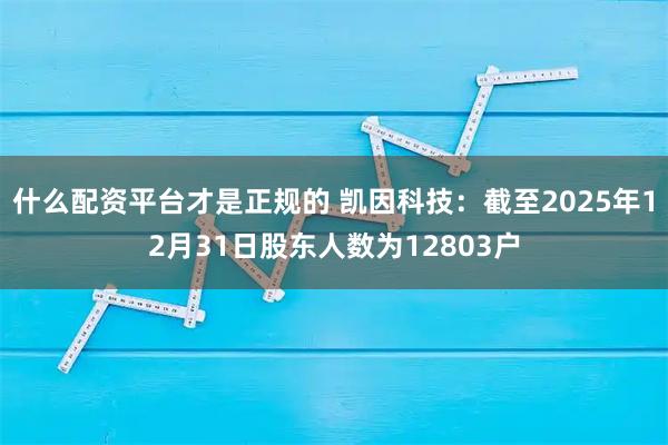 什么配资平台才是正规的 凯因科技：截至2025年12月31日股东人数为12803户